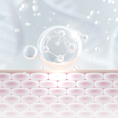 in-vitro 평가