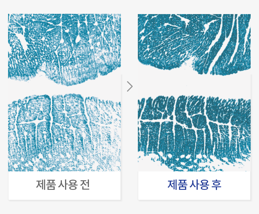 입술 수분 개선 평가