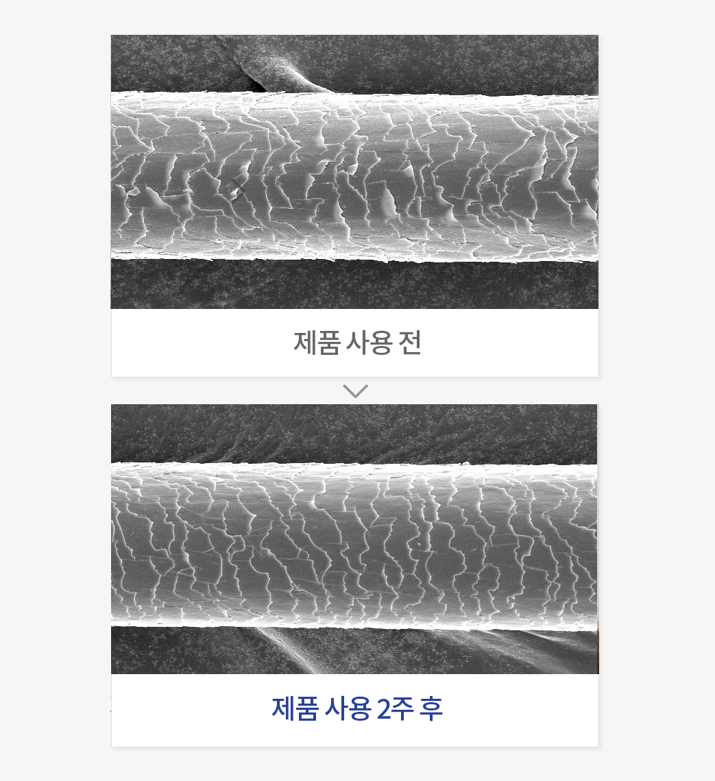 모발 큐티클 개선